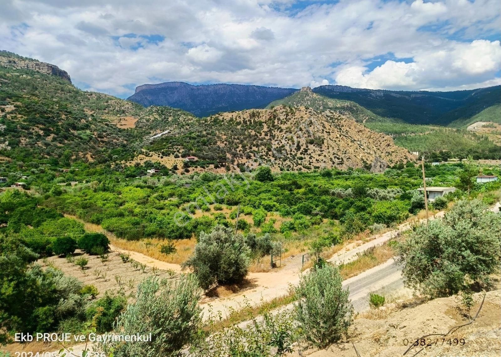 Silifke Karakaya Satılık Bağ & Bahçe Karakaya'da Satılık Yetişkin Zeytin Bahçesi