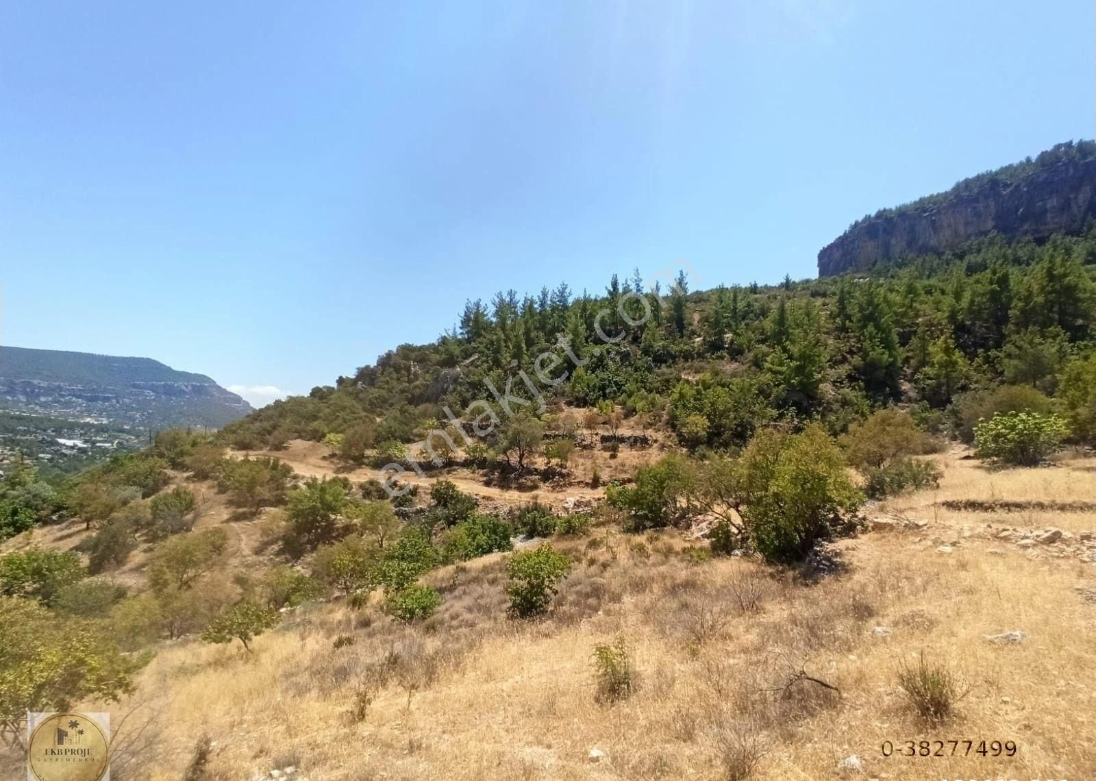 Silifke Karakaya Satılık Zeytinlik Karakaya'da Manzaralı Yol Kenarı Zeytin Bahçesi