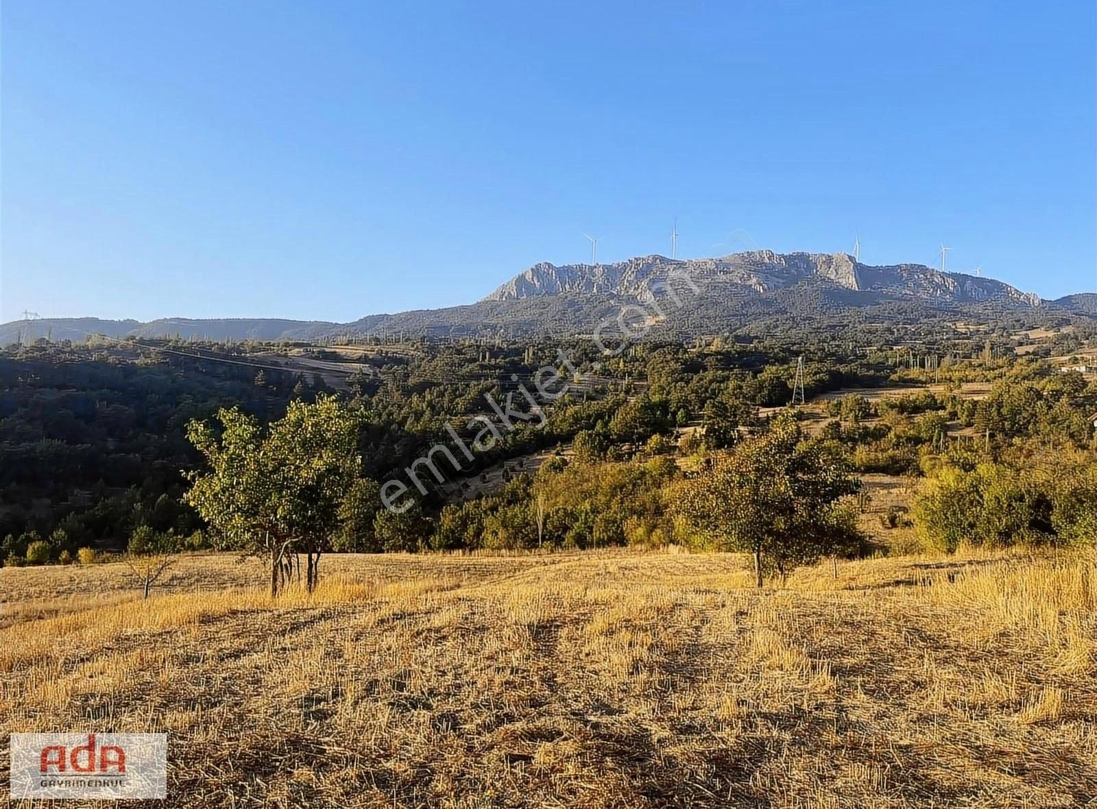 Geyve Çayköy Satılık Tarla ADA GAYRİMENKULDEN 1316 m2 FIRSAT YATIRIMLIK ARAZİ