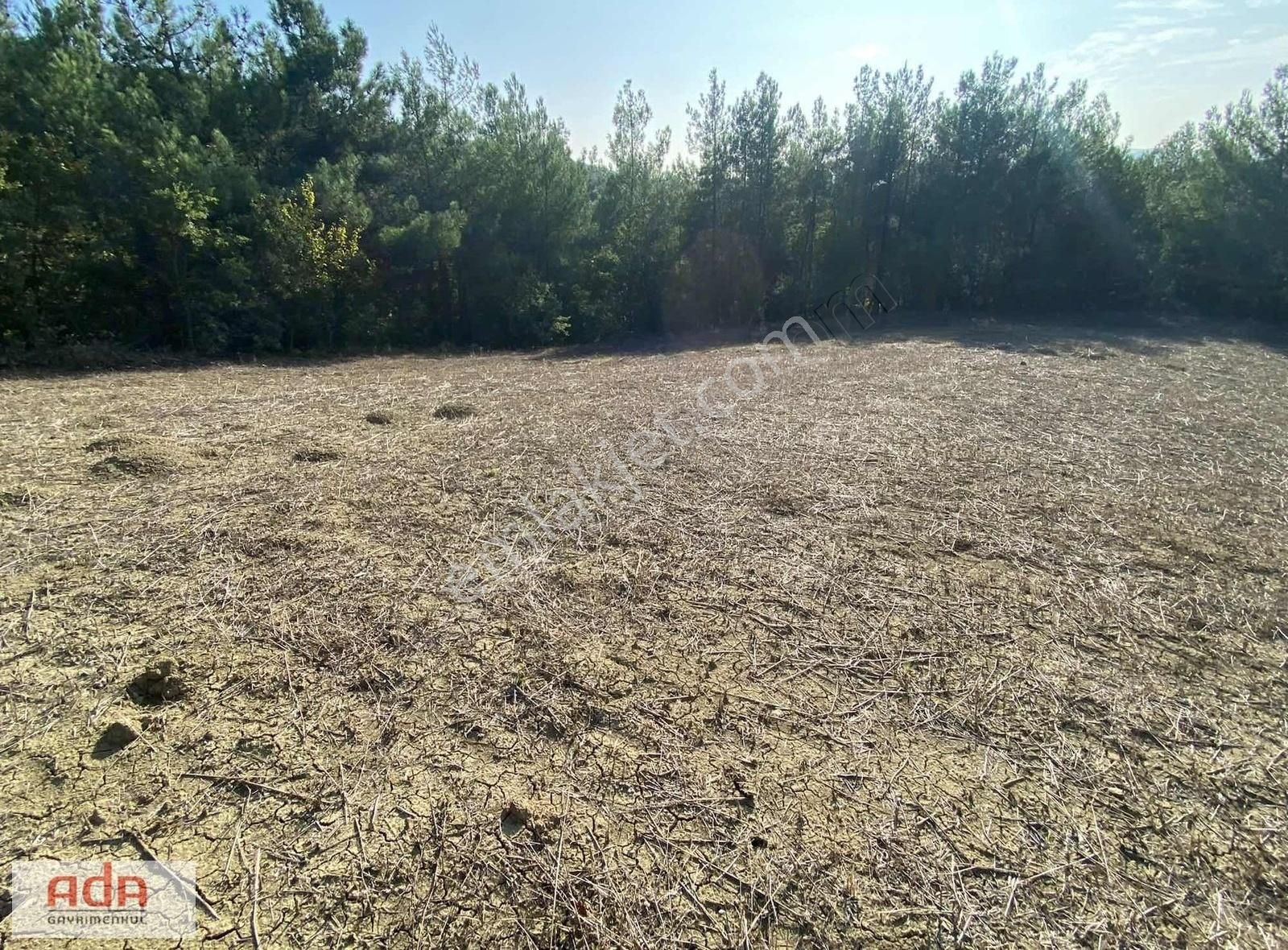 Geyve Çamlık Satılık Tarla Ada Gayrimenkulden Çamlık Erçek Mah.7865m2 Köy Yani Satılık