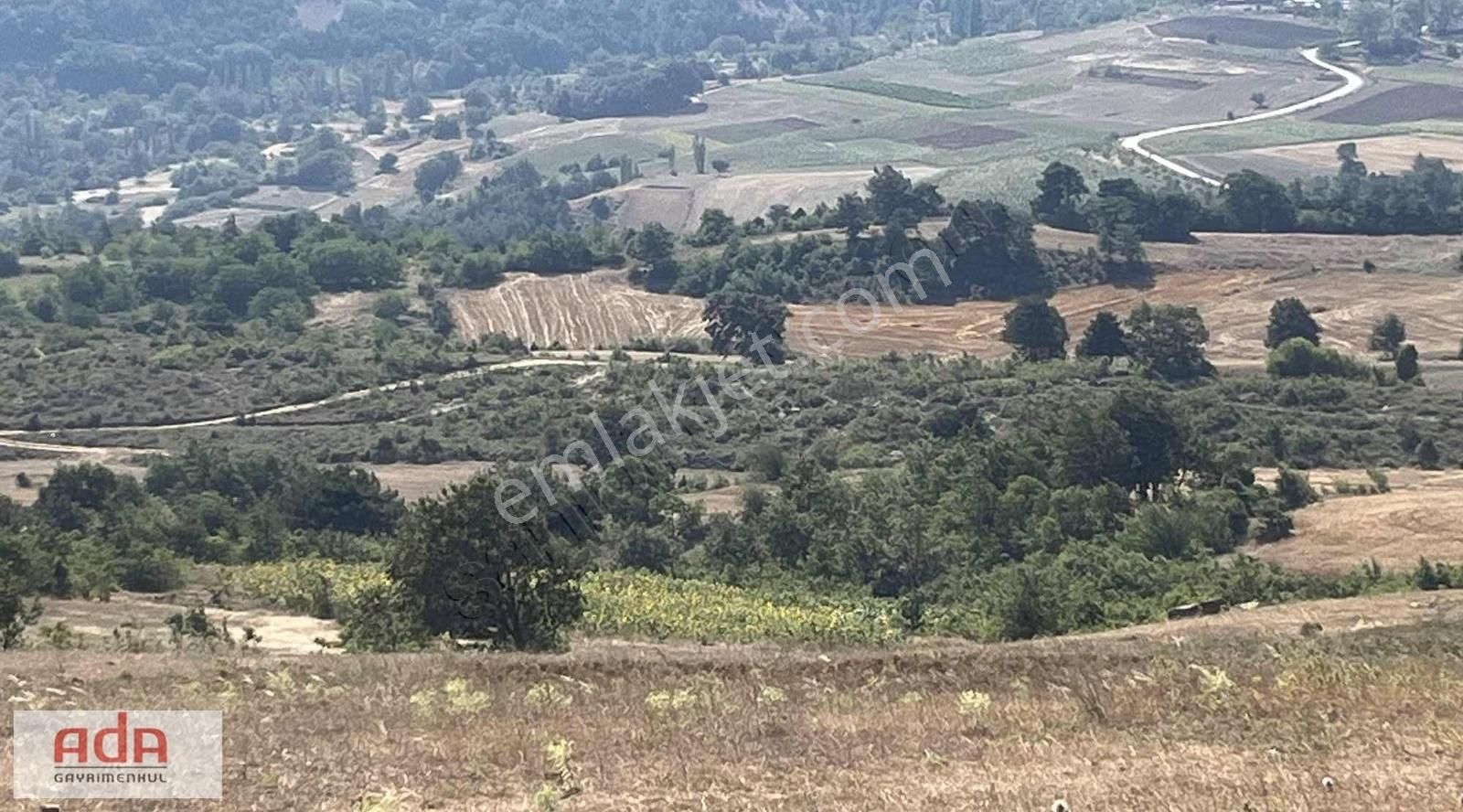 Geyve Karacaören Satılık Tarla ADA GAYRİMENKUL KARACAÖREN MAH 1700m2 MANZARALI SATILIK