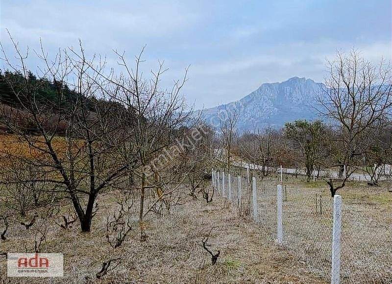 Geyve Demirler Satılık Tarla Ada Gayrimenkulden Geyvede 400m2 Köyyanı Üzümbağı