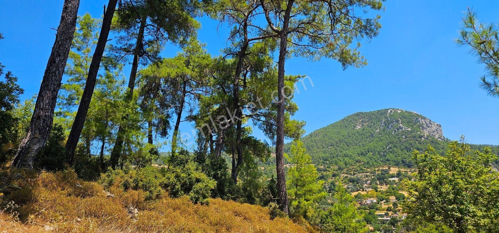 Milas Ören Kalemde Deniz Ve Doğa Manzaralı 1300m² Konut İmarlı Arsa - Görsel 8