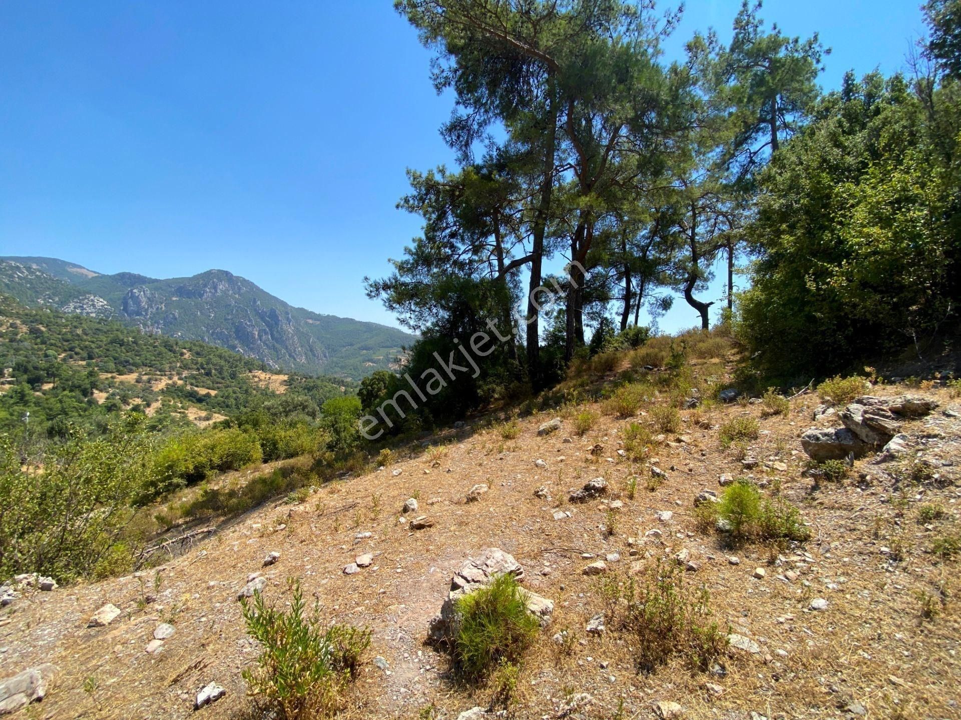 Milas Ören Kalemde Deniz Ve Doğa Manzaralı 1300m² Konut İmarlı Arsa - Görsel 22