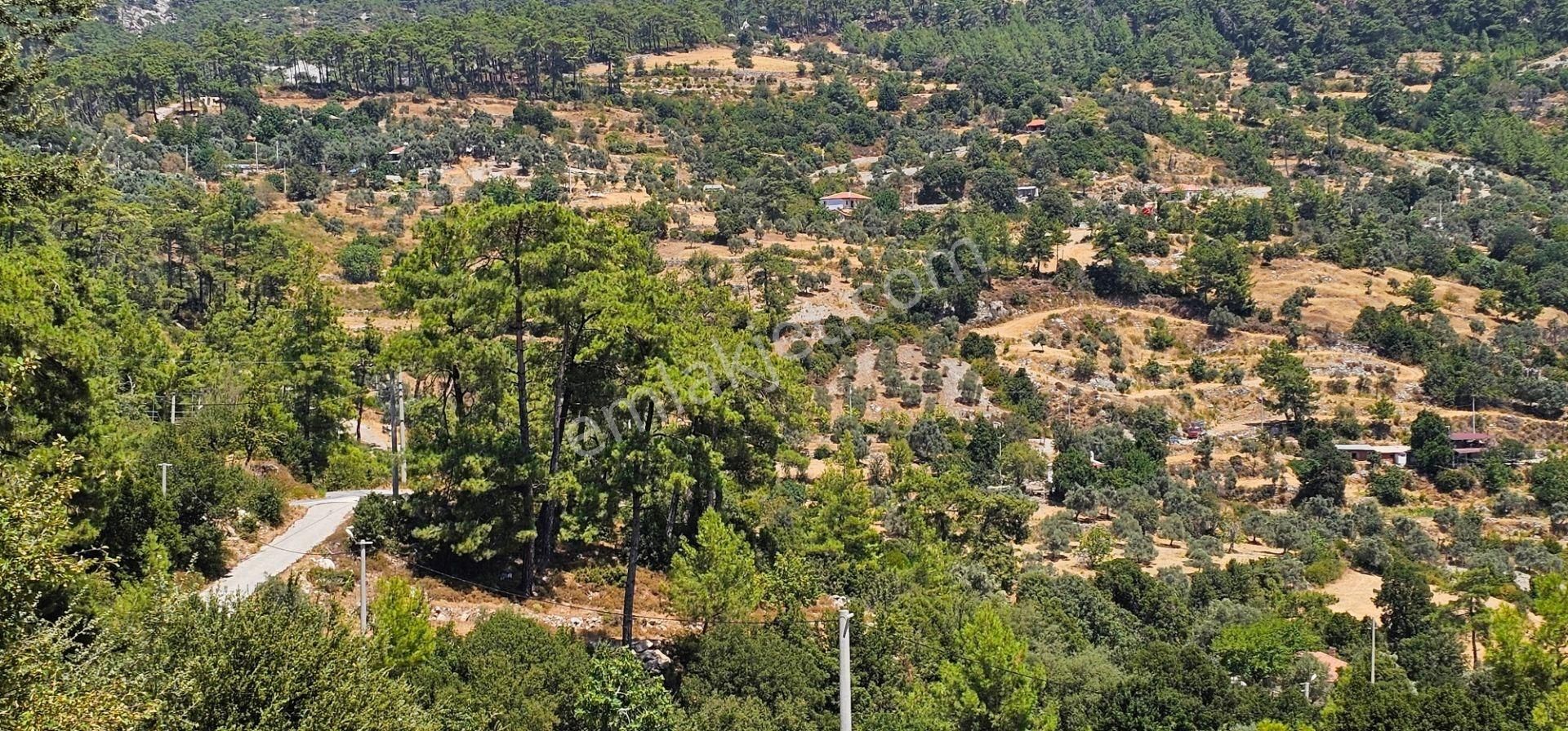 Milas Ören Kalemde Deniz Ve Doğa Manzaralı 1300m² Konut İmarlı Arsa - Görsel 4