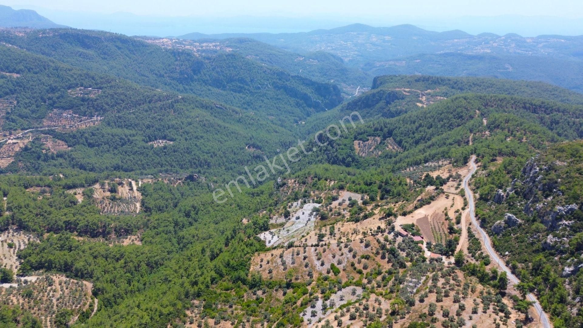 Milas Kalem Satılık Konut İmarlı Milas Ören Kalemde Doğa Manzaralı 1300m² Konut İmarlı Arsa