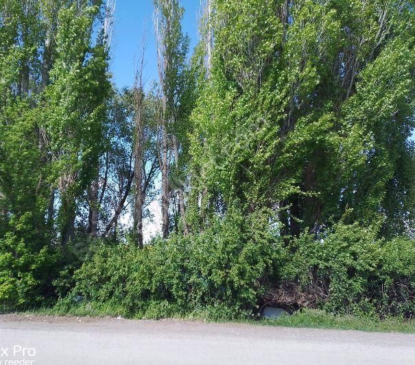 Ilıca Merkezde Bahçeli İki Katlı 3 Daire Bulunan Satılık Bina - Görsel 4