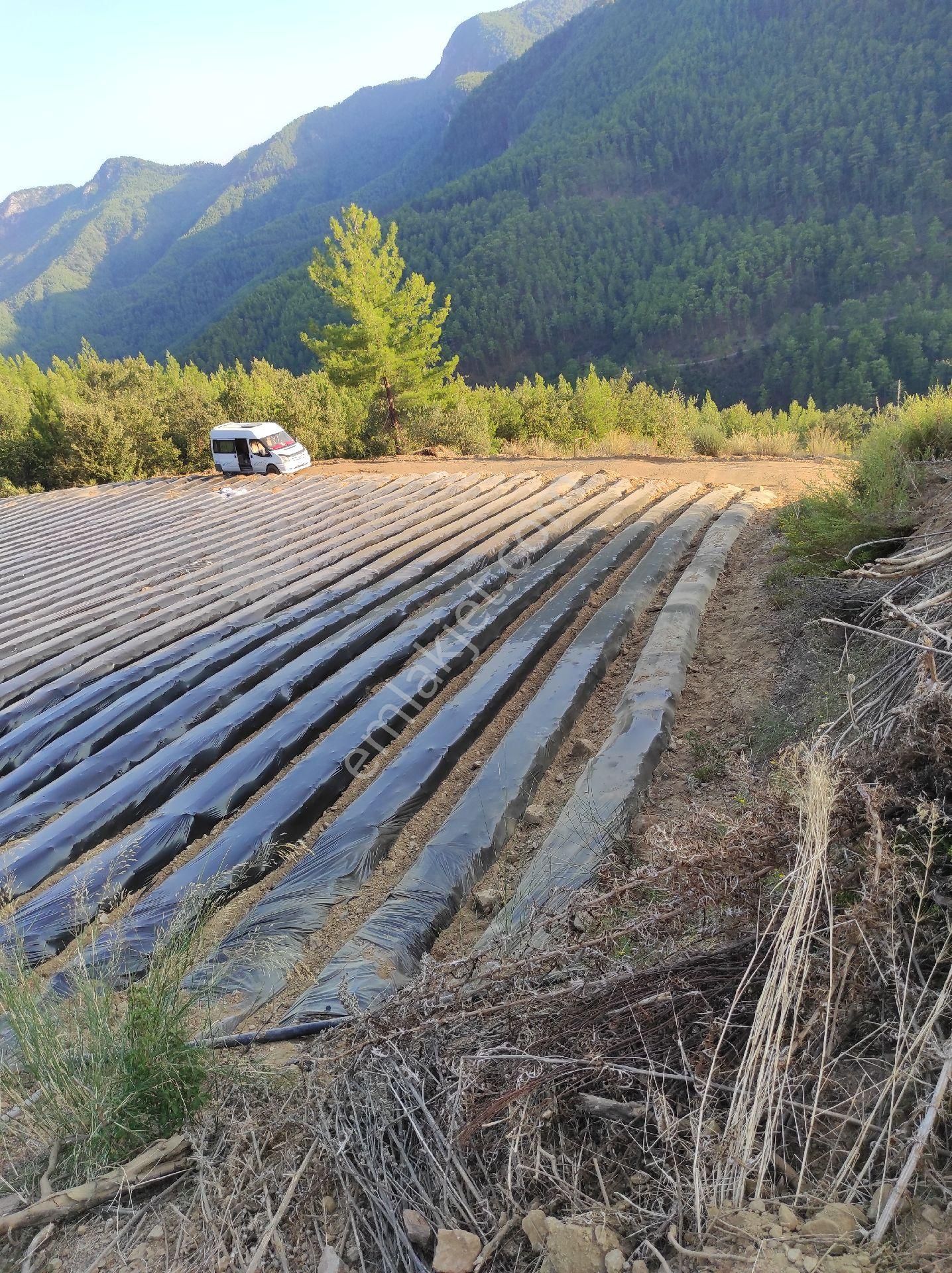 Müstakil Tapu 8155metre - Görsel 29
