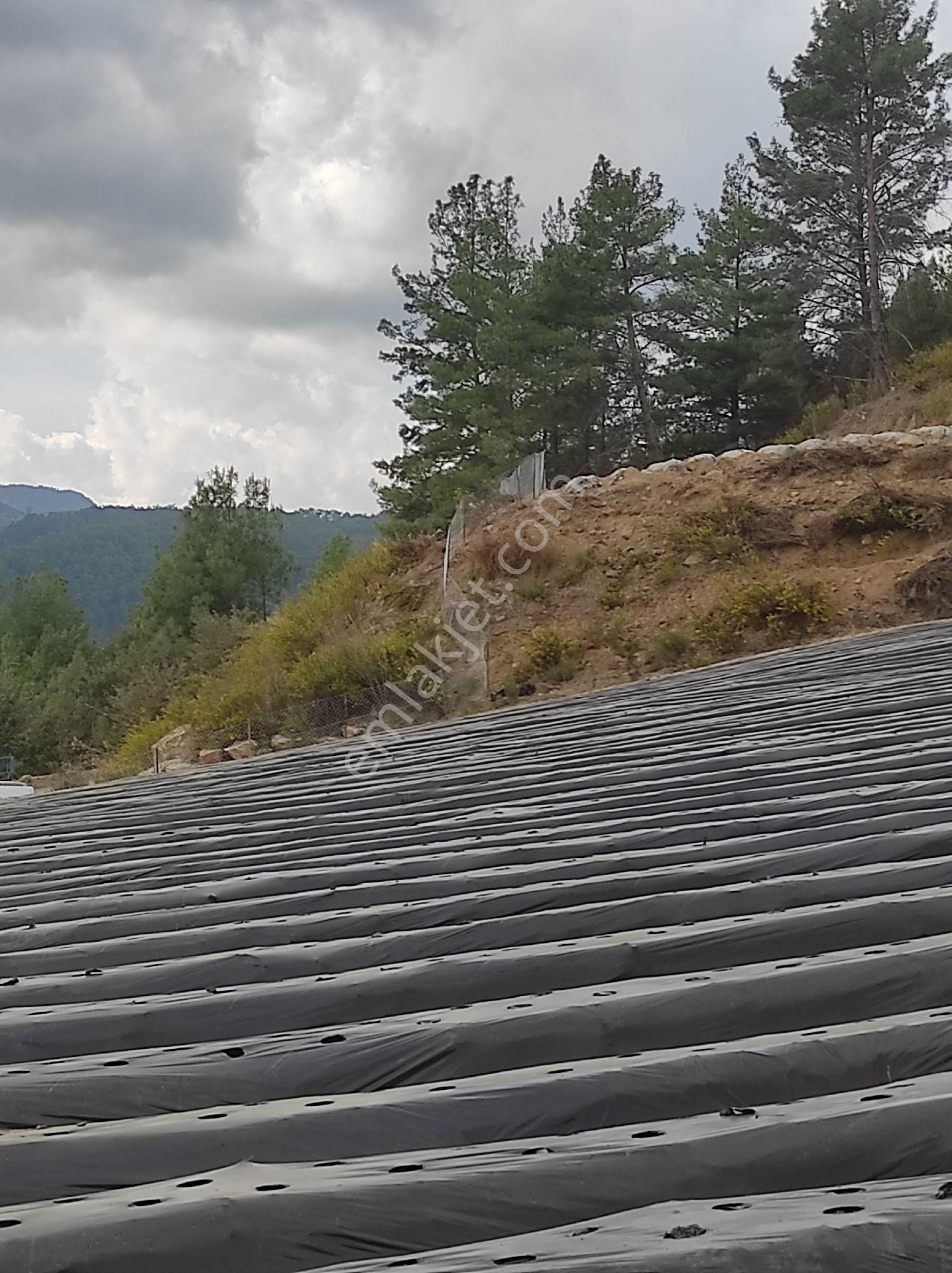 Müstakil Tapu 8155metre - Görsel 18