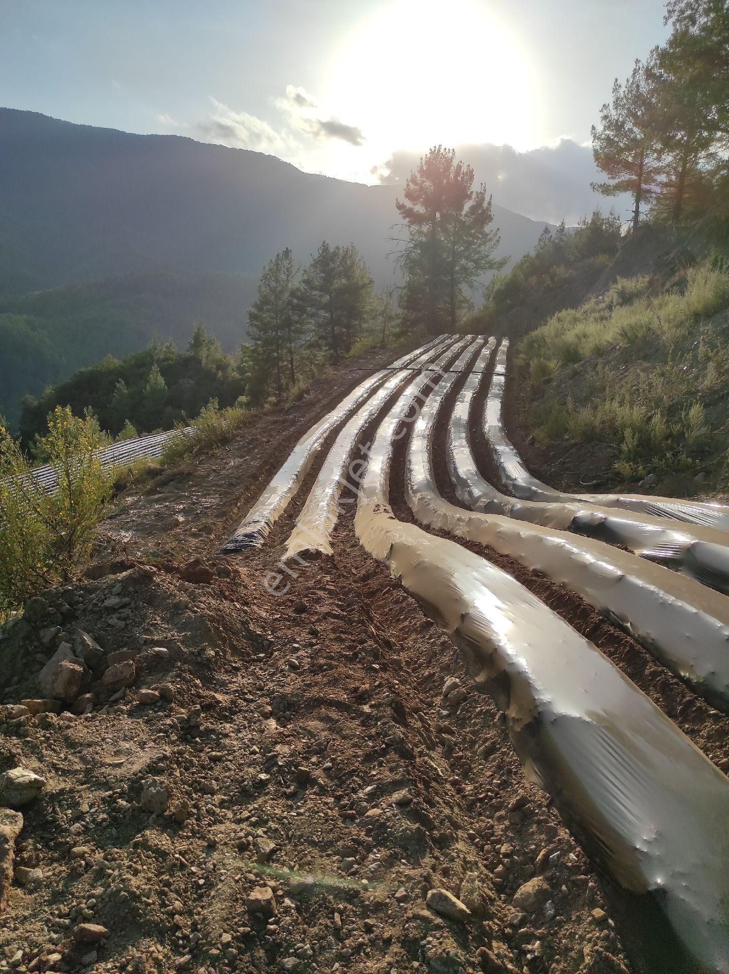 Müstakil Tapu 8155metre - Görsel 27
