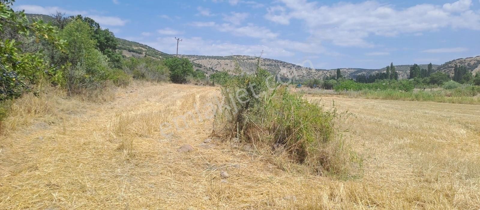 Seydişehir Bostandere Satılık Bağ & Bahçe Konya Seydişehir bostandere köyünde satılık tarla yolsu elektiri