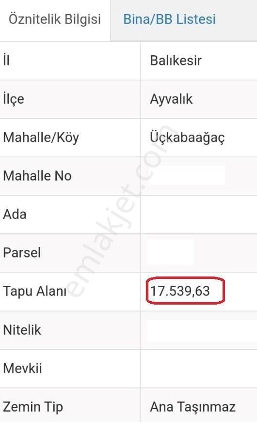Üçkabaağaç Köyünde Madra Barajı Manzaralı Bakımlı Zeytinlik - Görsel 2