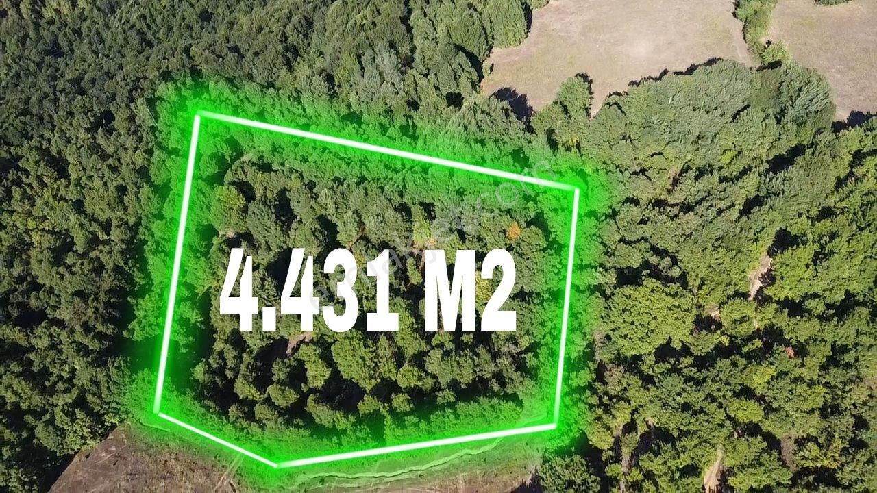 Hamitabat Mahallesinde- İnegöl Manzaralı 4.430 M2 Yatırımlık Arazi