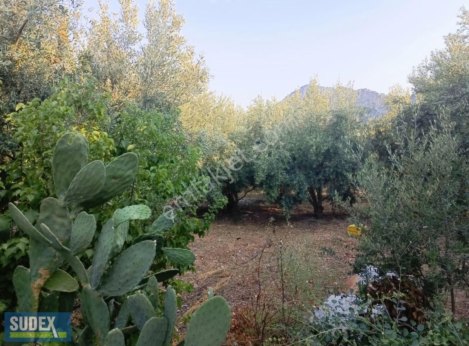 Yenişehir Uzunkaş Satılık Konut İmarlı Yenişehir Uzunkaşda İmarlı Arsa