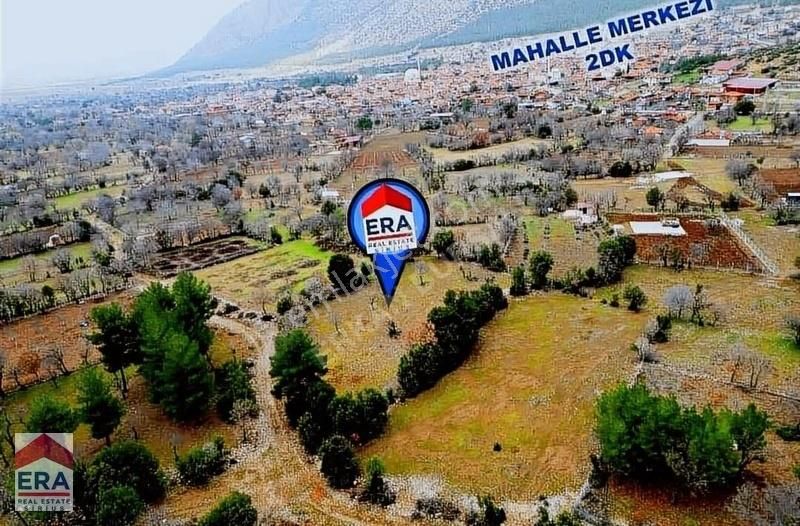 Tavas Pınarlar Satılık Bağ & Bahçe Tavas Merkeze Yakın Orman ve Dağ Manzaralı Harika Konumda Bağ