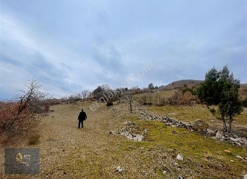 Dursunbey Kavakköy Satılık Tarla BALIKESİR DURSUNBEY KAVAK'DA 20.716 M2 YATIRIMLIK TARLA