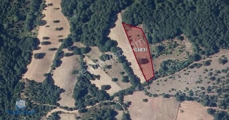 Yenice Soğucak Köyü Satılık Tarla ÇANAKKALE YENİCE SOĞUCAK 2.438M2 SATILIK TARLA