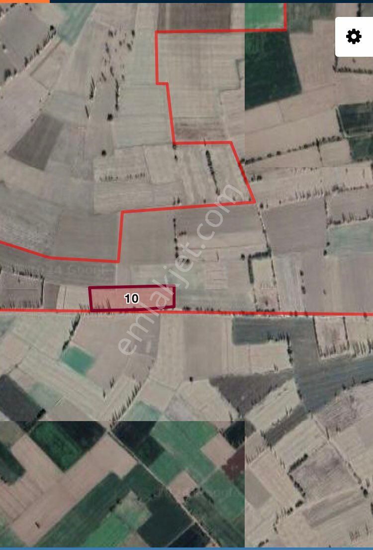 Dinar Tatarlı Bld. (Altınhisar) Satılık Tarla Kınık-ismailhüyüğü Mevkinde 3 Dönüm(6.600 M2) Yatırımlık Tarla Satılıktır.