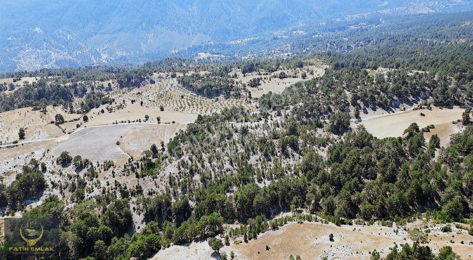 Çameli Akpınar Satılık Bağ & Bahçe Çameli Akpınar'da Satılık 9 Buçuk Dönüm Tarla