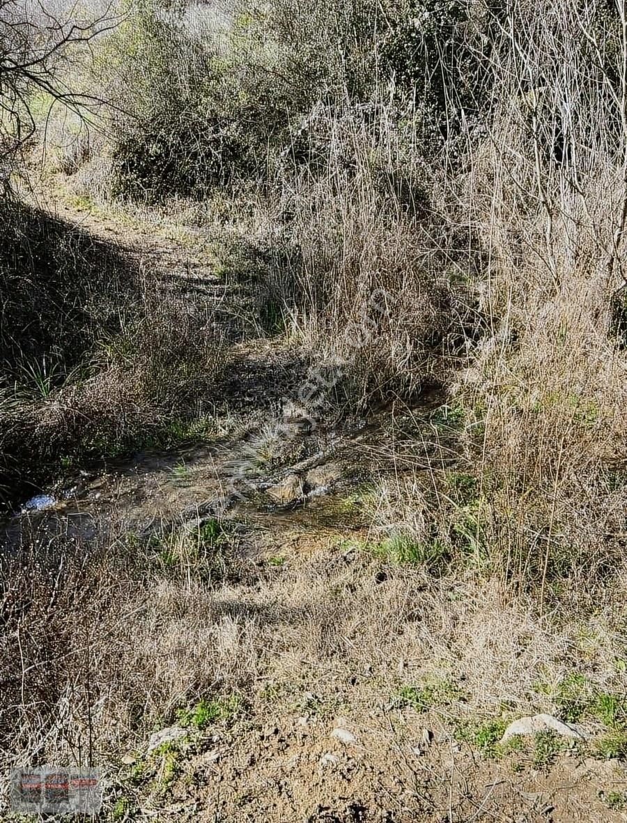 Osmaneli Günüören Köyü Satılık Tarla İstanbul'a 1.5 saat Harika Hobi Bahçesi Resmi Yol Var