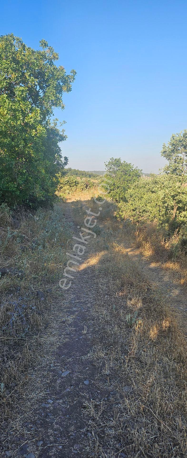 Menemen Görece'de 351 M2 Rızai Taksimli Tarla - Görsel 13