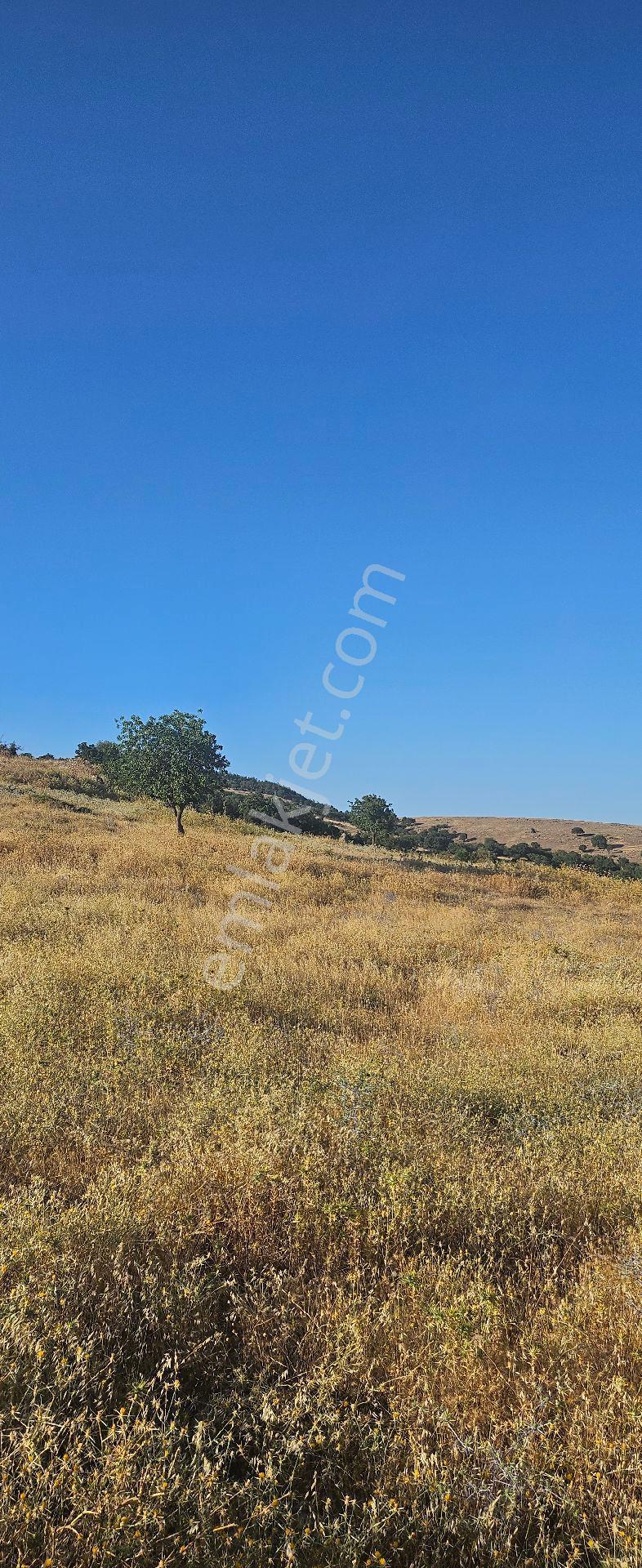 Menemen Görece'de 351 M2 Rızai Taksimli Tarla - Görsel 5
