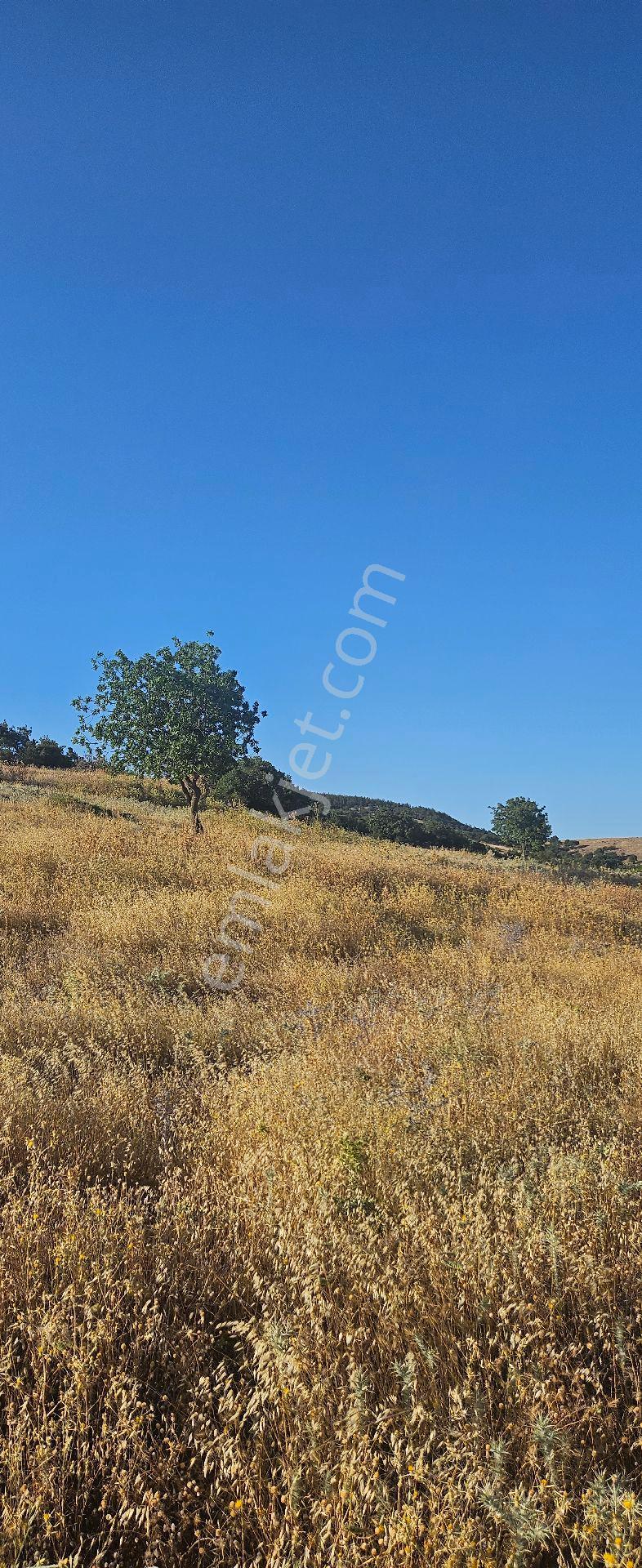 Menemen Görece'de 351 M2 Rızai Taksimli Tarla - Görsel 17