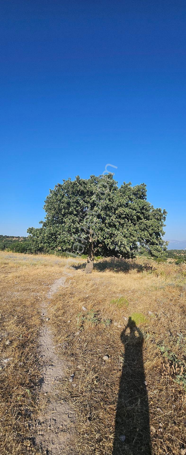 Menemen Görece'de 351 M2 Rızai Taksimli Tarla - Görsel 16