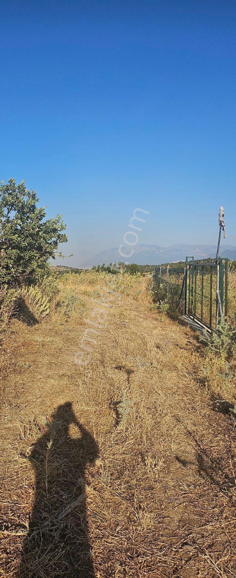 Menemen Görece'de 351 M2 Rızai Taksimli Tarla - Görsel 14