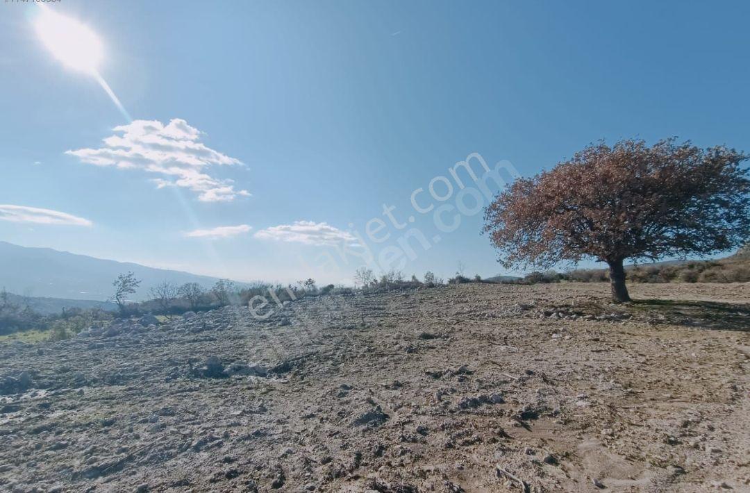 Menemen Görece'de 351 M2 Rızai Taksimli Tarla - Görsel 4