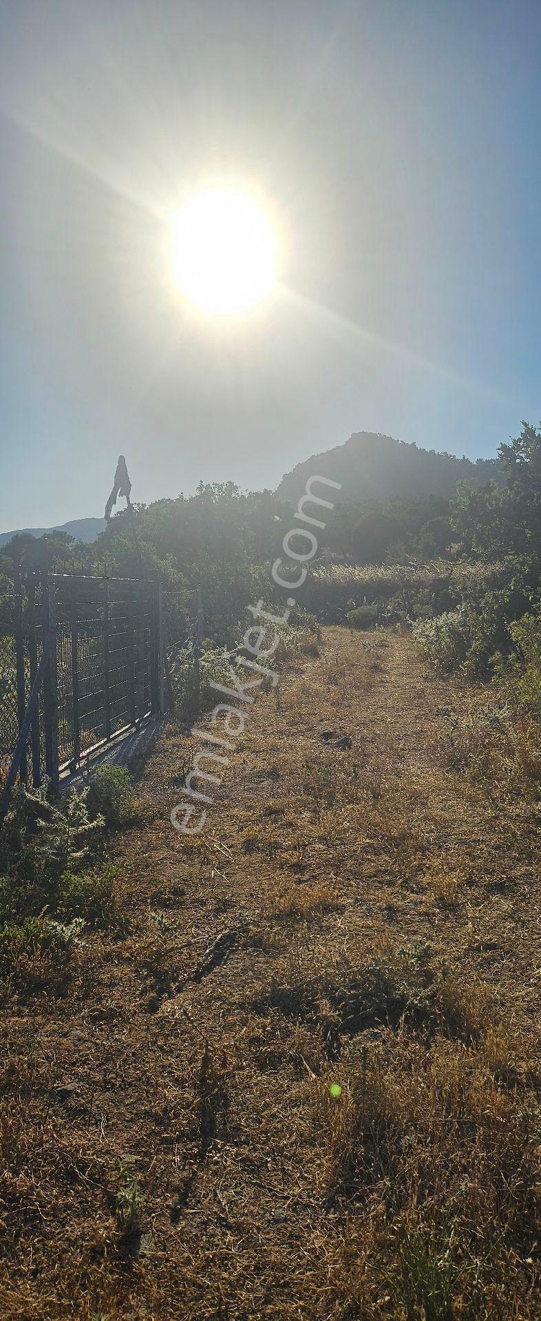 Menemen Görece'de 351 M2 Rızai Taksimli Tarla - Görsel 15