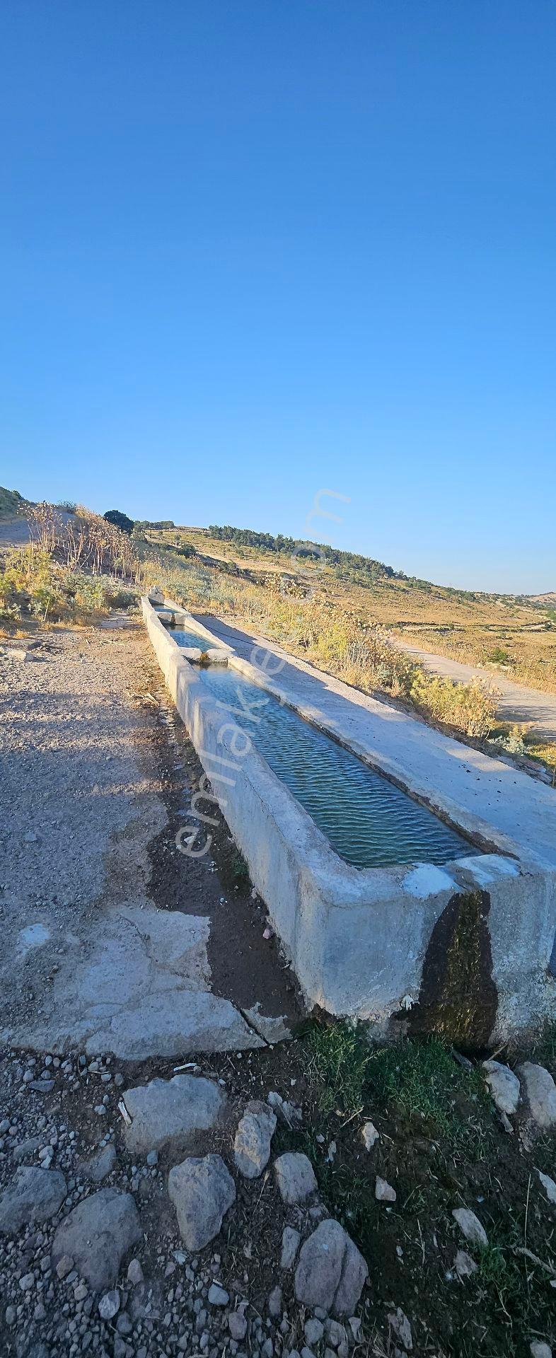 Menemen Görece'de 351 M2 Rızai Taksimli Tarla - Görsel 12