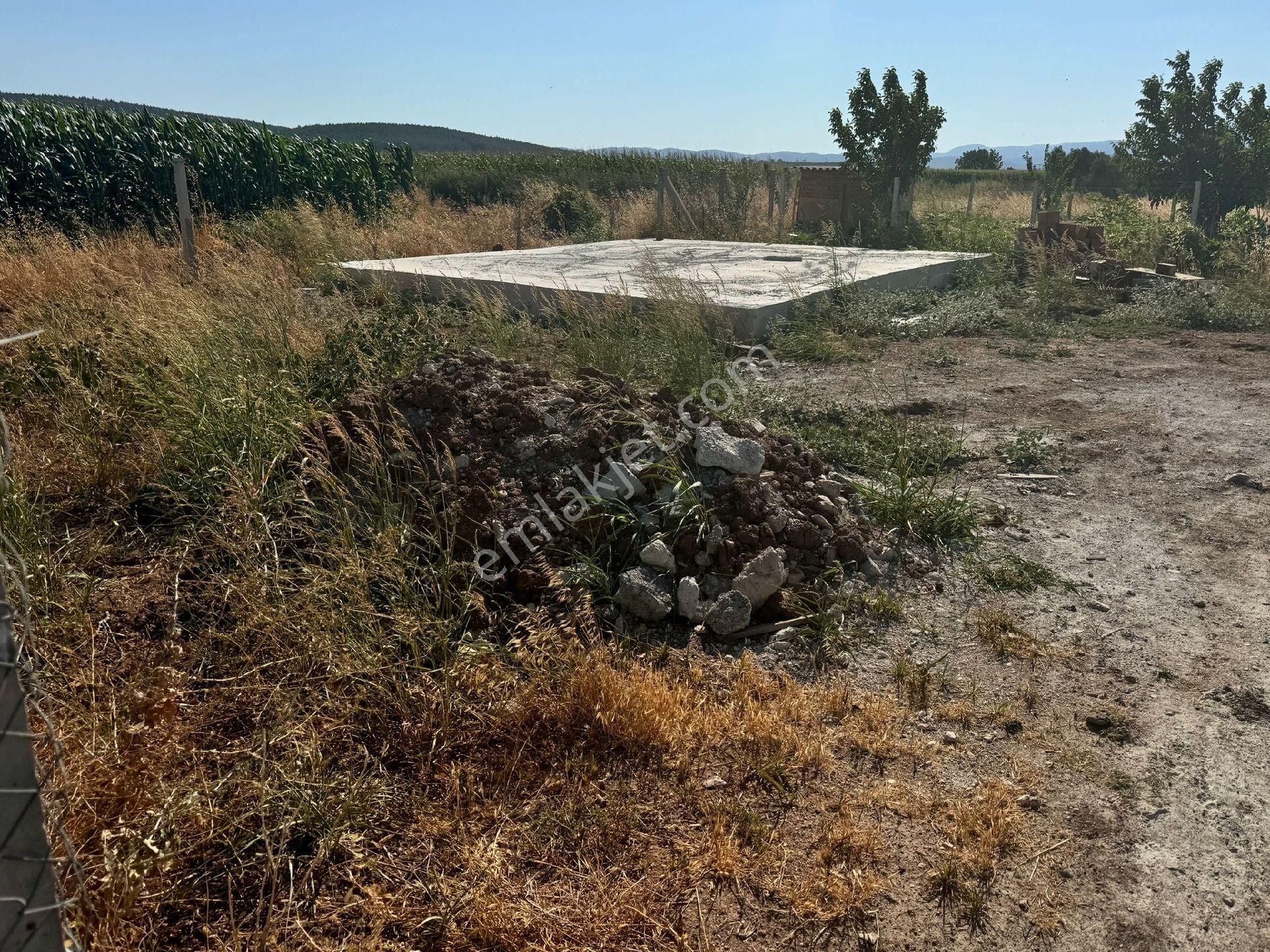 Menderes Oğlananası Atatürk Satılık Tarla İZMİR MENDERES OGLANANASİ MAHALLESİNDE TEK TAPU 272 METRE KARE BAHCE 