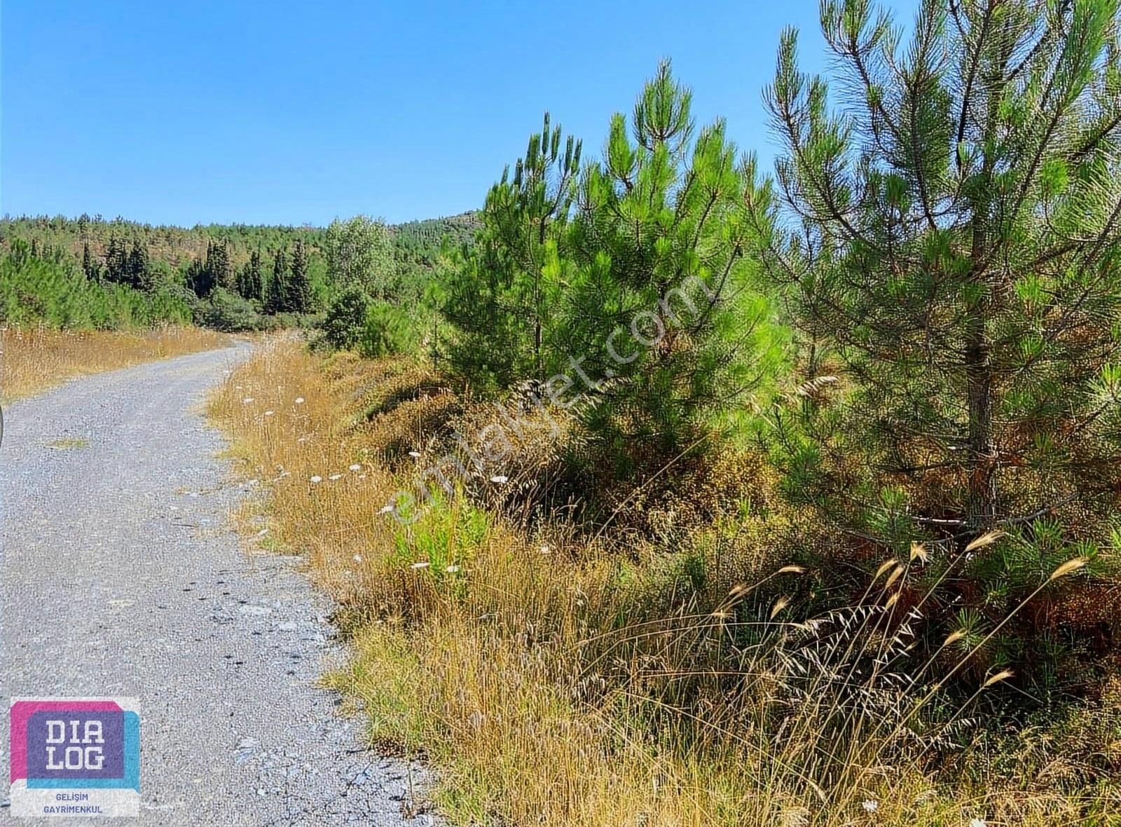 Mudanya Kaymakoba Satılık Tarla Dialog Gelişim Mudanya Kaymakoba Mah. Yatırımlık Arazi