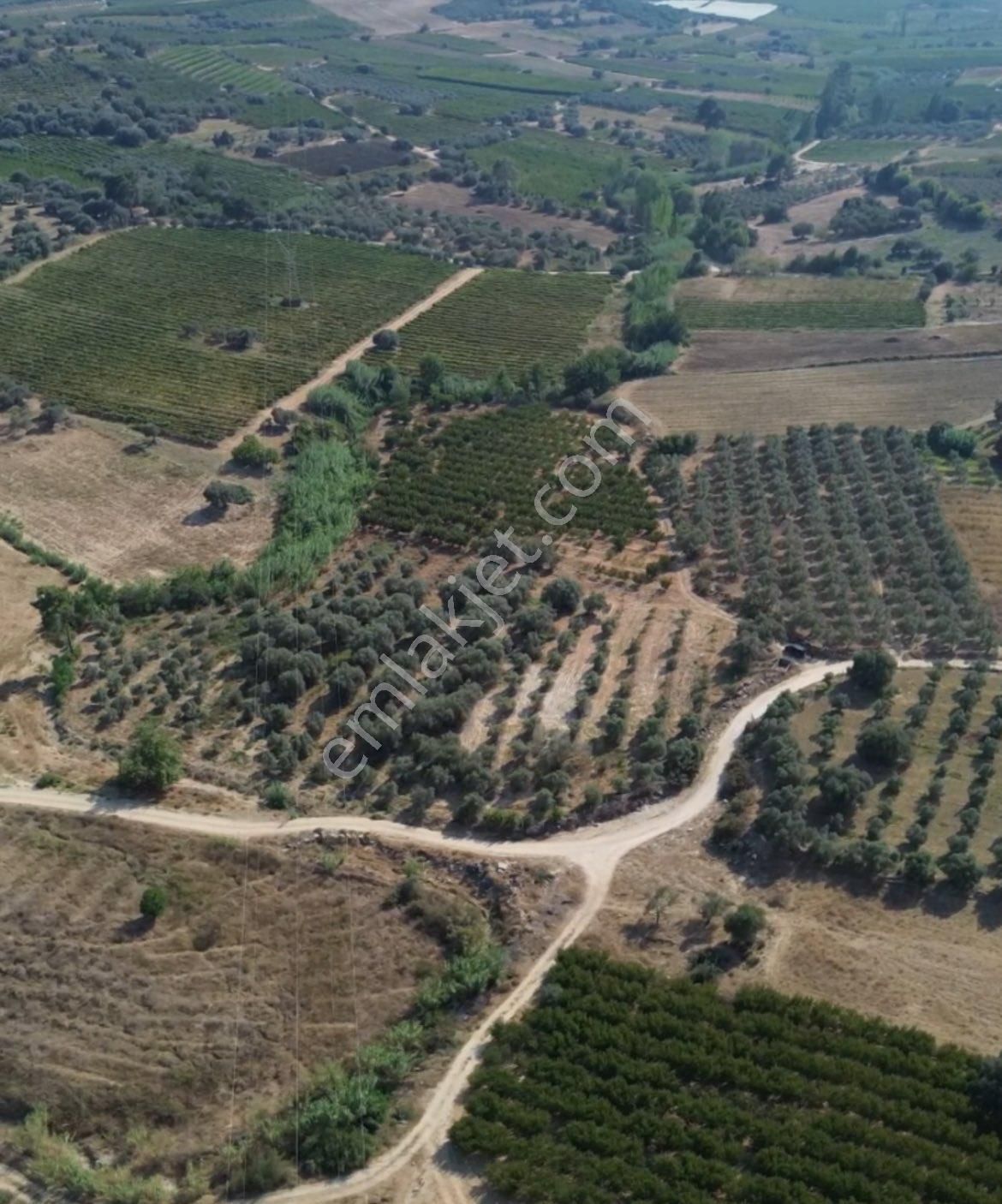 Ra Gayrmenkul Karadirlik Mah. Şeftali Bahçesi - Görsel 5