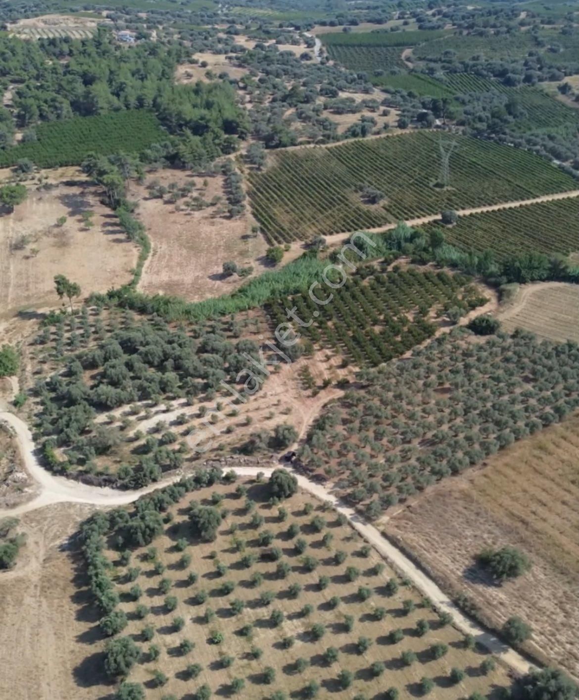 Ra Gayrmenkul Karadirlik Mah. Şeftali Bahçesi - Görsel 2