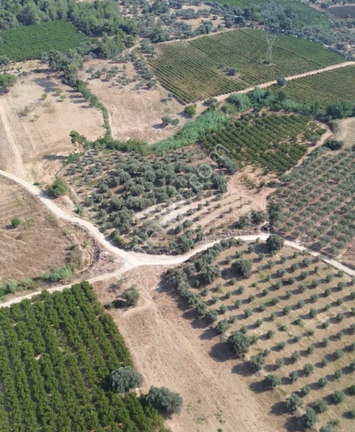 Ra Gayrmenkul Karadirlik Mah. Şeftali Bahçesi - Görsel 3