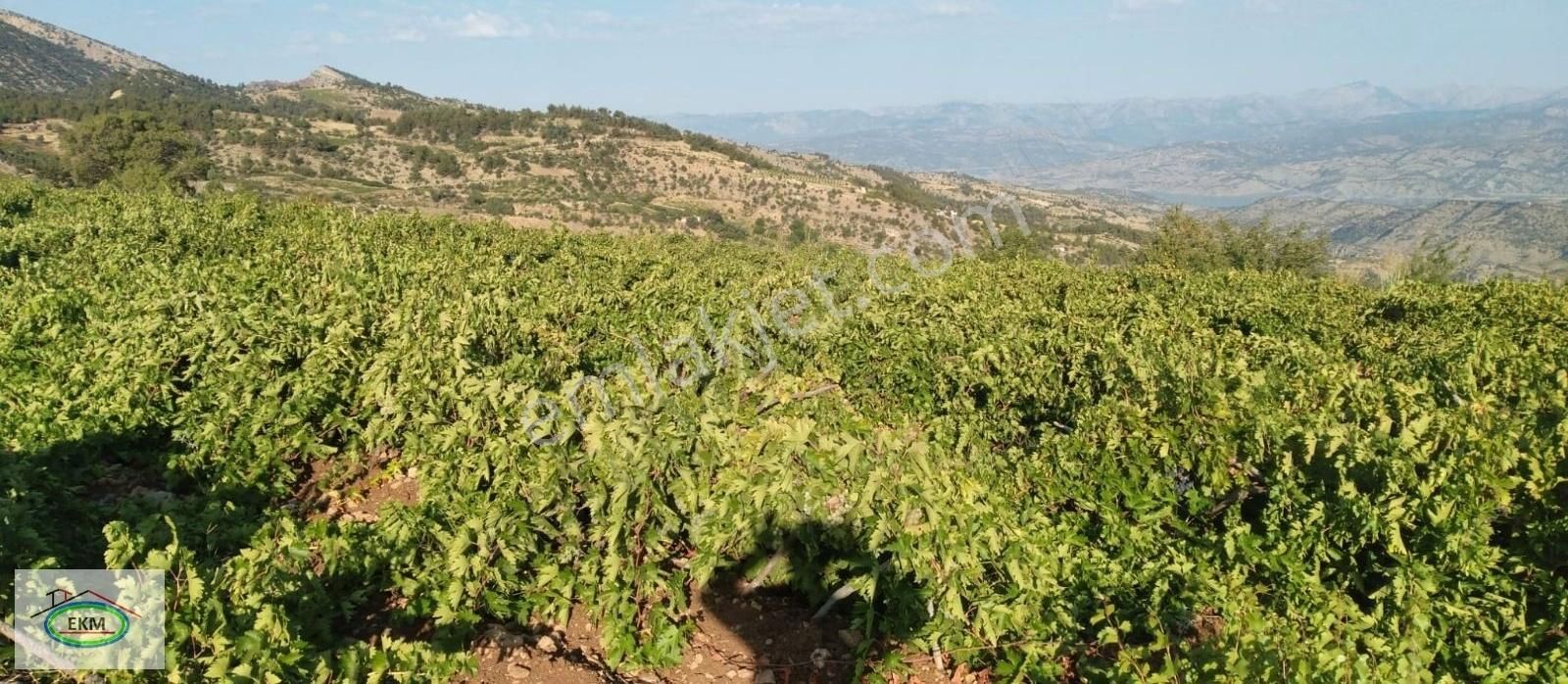 Dulkadiroğlu Budaklı Satılık Bağ & Bahçe kahramanmaraş Bertiz Budaklıda satılık bağ bahçe