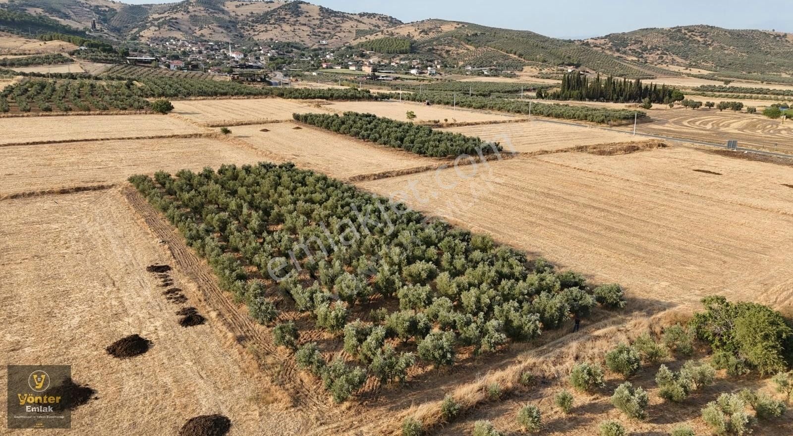 Tire Doyranlı Satılık Tarla Yönter Emlaktan Doyranlı Köyünde 1.775 M² Zeytinlik