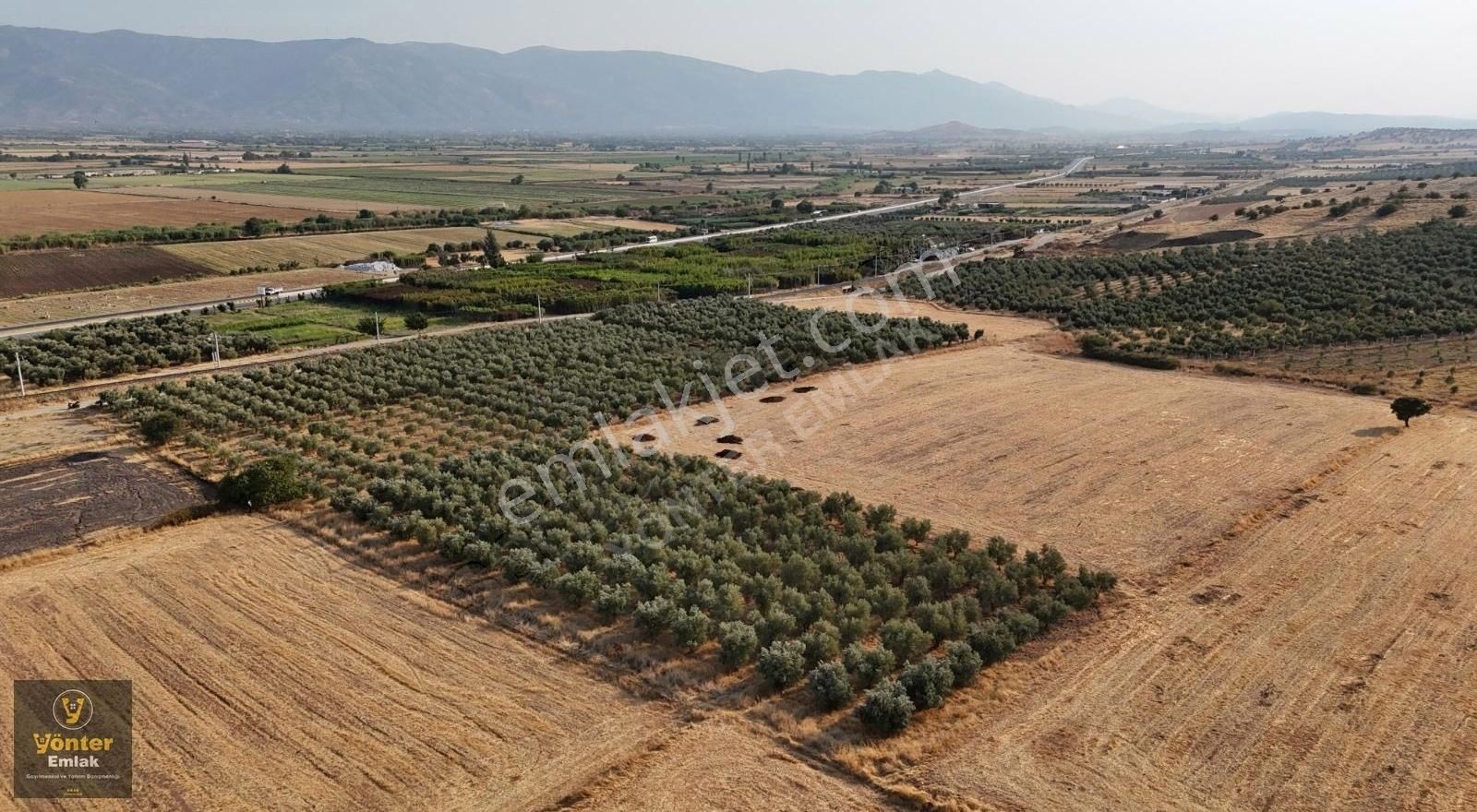 Yönter Emlaktan Doyranlı Köyünde 1.775 M² Zeytinlik - Görsel 24