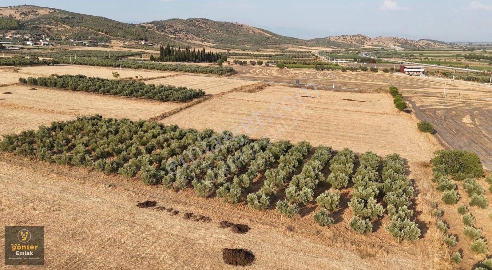 Yönter Emlaktan Doyranlı Köyünde 1.775 M² Zeytinlik - Görsel 22