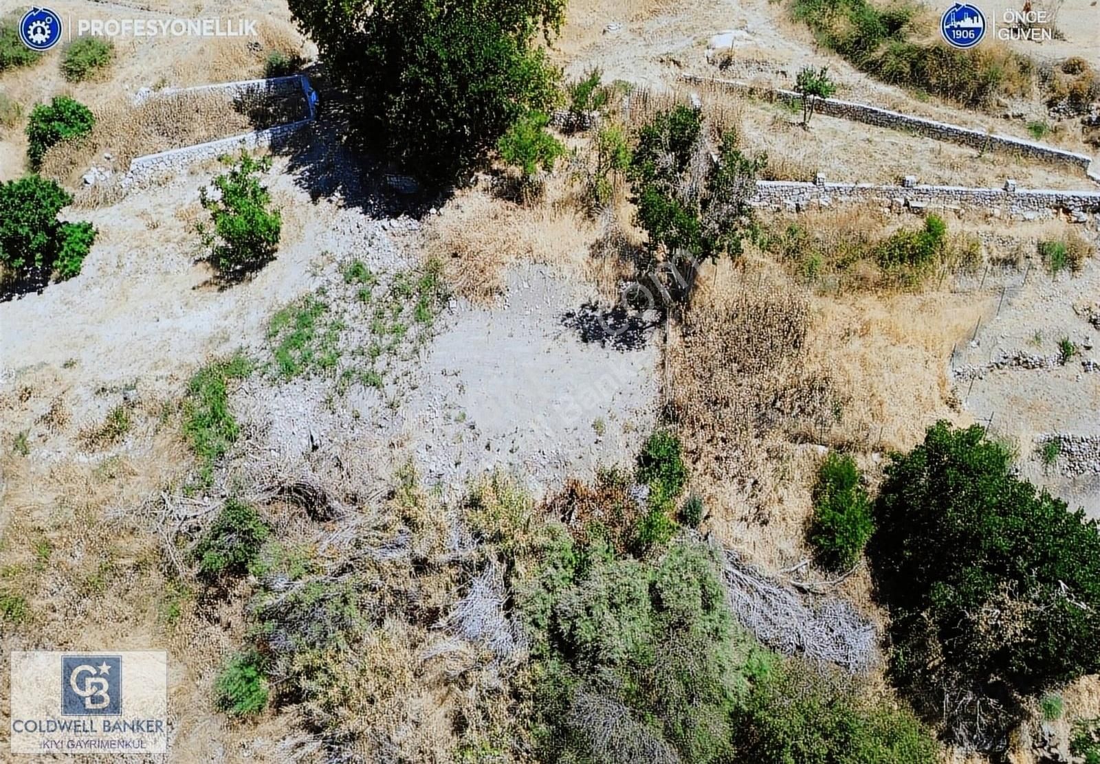 Karaburun Tepeboz Satılık Bağ & Bahçe Karaburun Tepeboz'da Tiny House Konumuna Uygun Bahçe