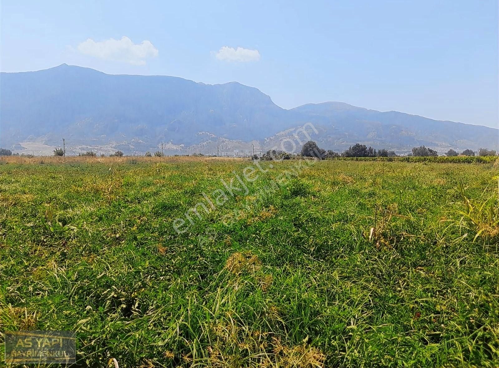 Şehzadeler Ahmet Bedevi Satılık Tarla Manisa Merkez Yeni Otogara 10 Dkk Uzaklıkta 25.400 M2 Yatırmlık