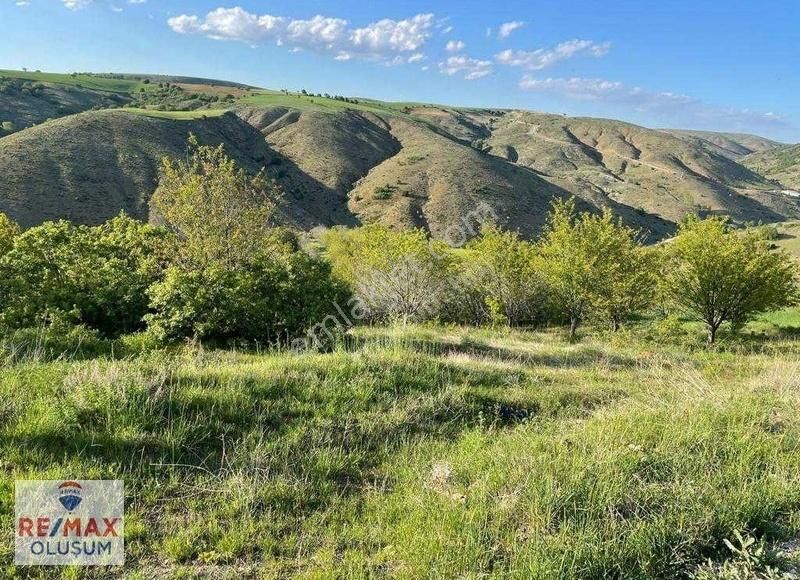 Akyurt Kalaba Satılık Tarla Ankara Akyurt Kalaba Mahallesinde Yatırımlık Satılık Arsa