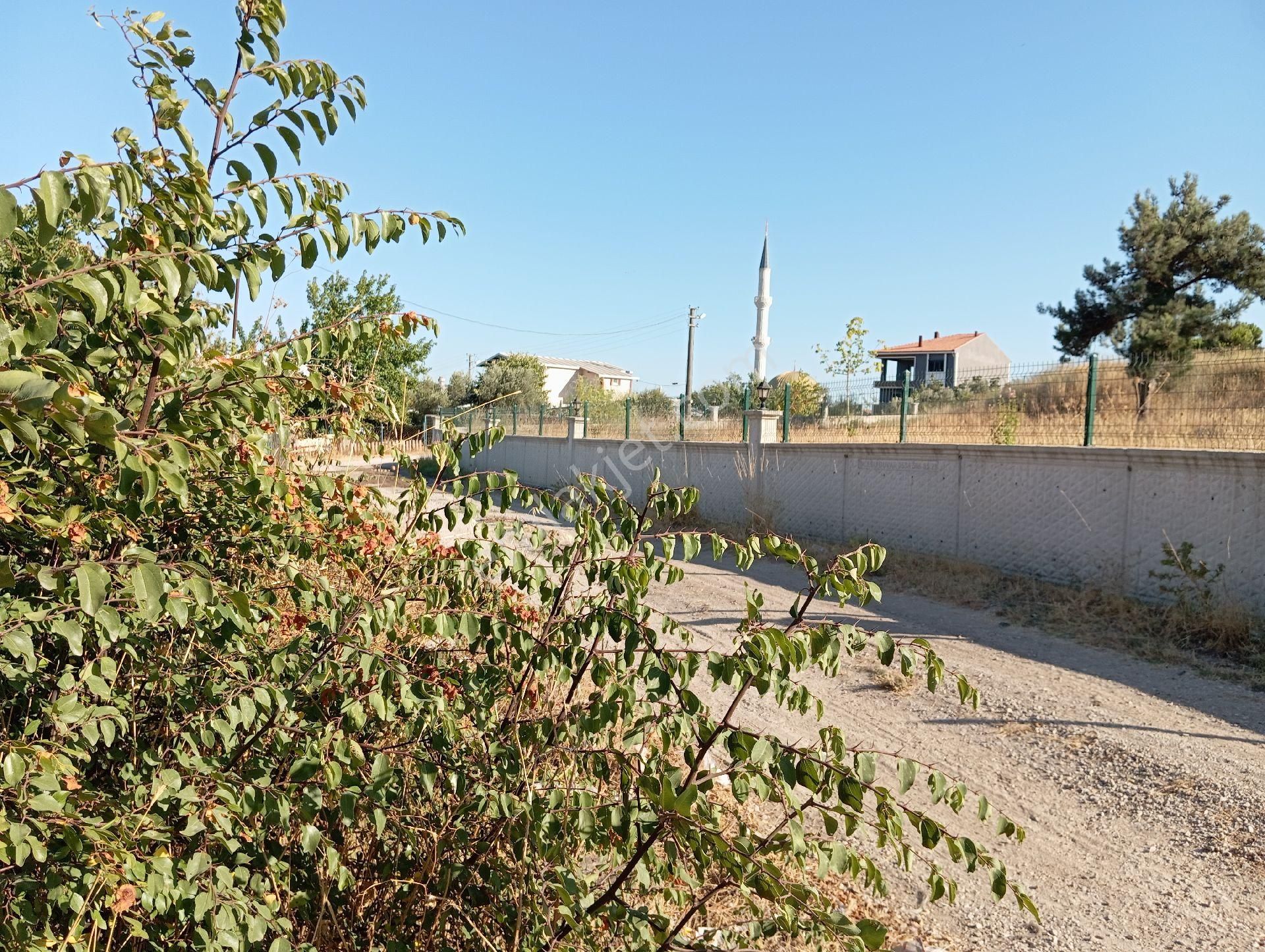 İstanbulbursa-balıkesir-izmir Otoyol Ortasında Susurluk Ta - Görsel 13