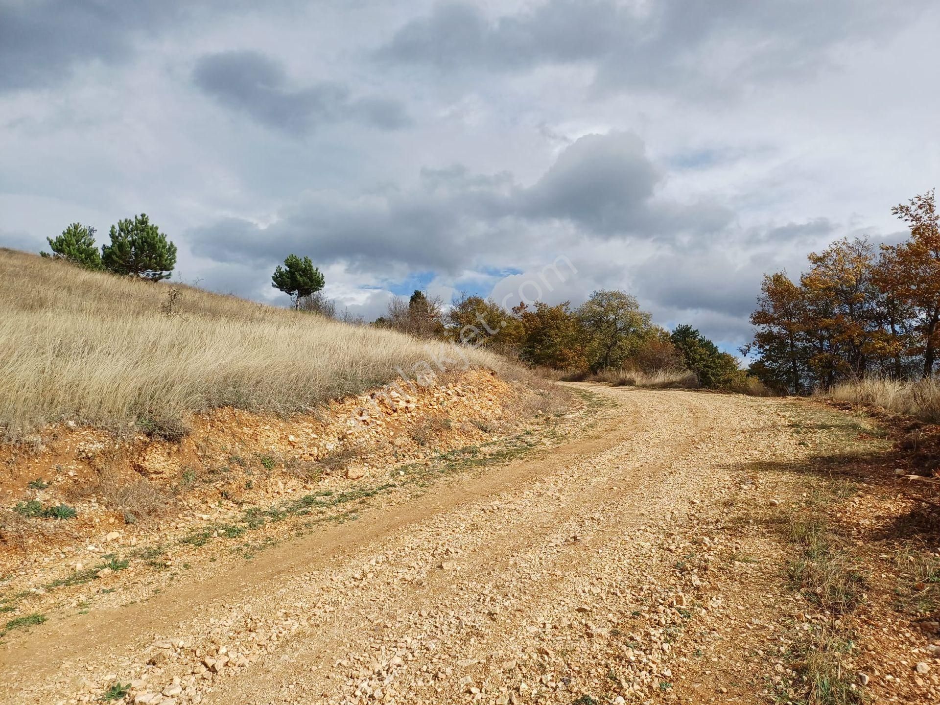 Mudurnu Dereköy Köyü Satılık Bağ & Bahçe 3500 m2 resmi yollu tarla Abant 20 dk