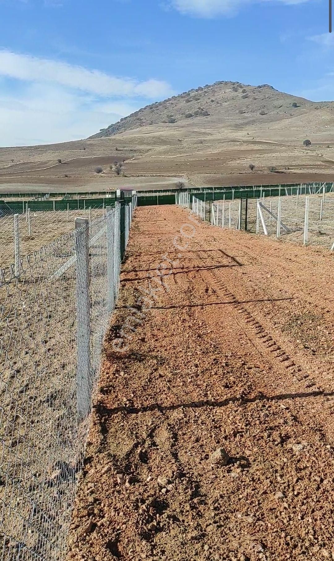 Ayaş Gökler Satılık Bağ & Bahçe Göklerde İmara Sınır Bahçe