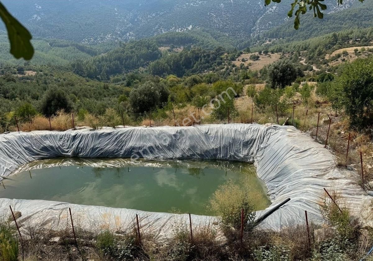 Kumluca Yenikışla Satılık Tarla BAHÇELİ EV