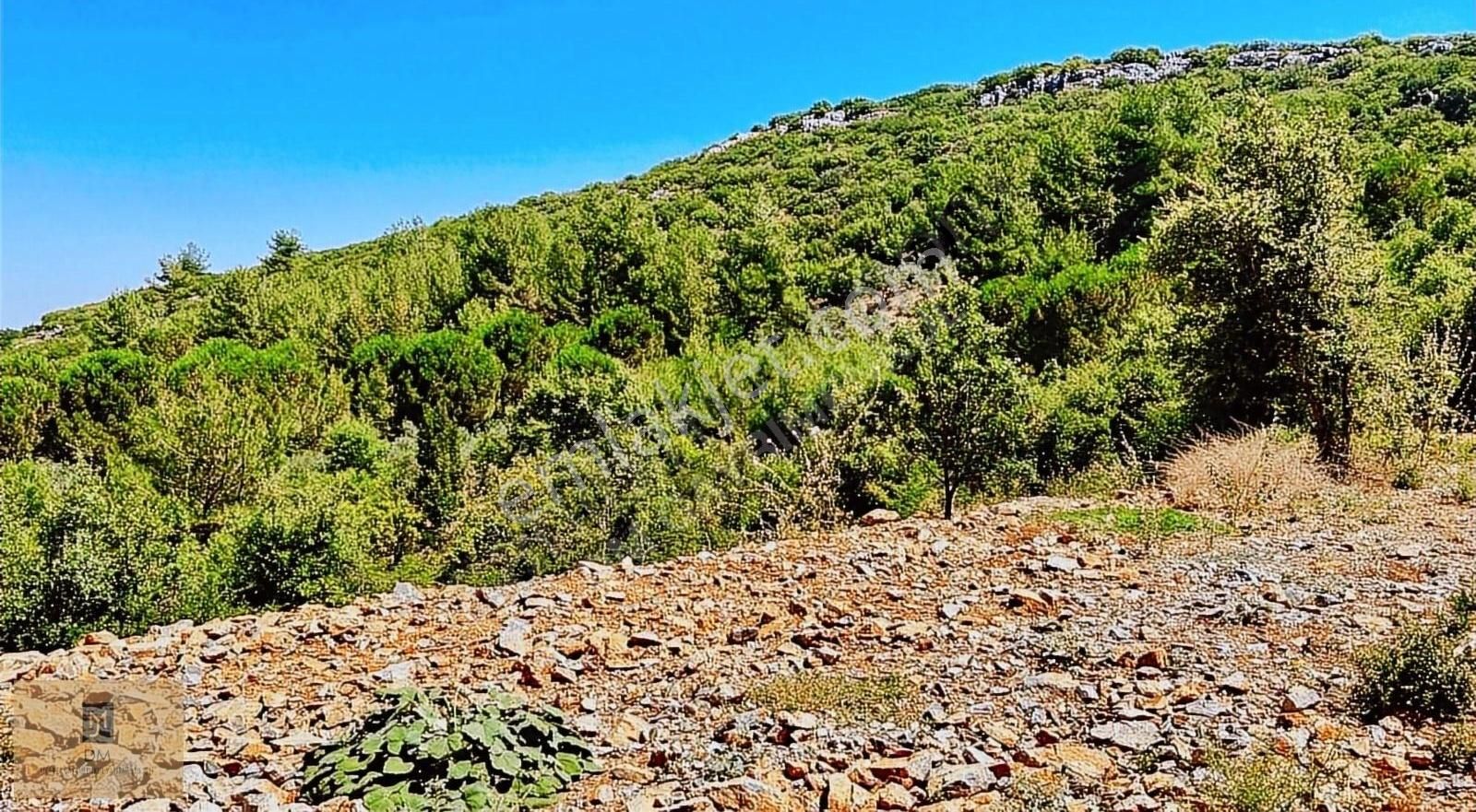 Menteşe Yerkesik Satılık Tarla İmar Sınırında 1 Dönüm Kaçırılmayacak Fırsat Arazi