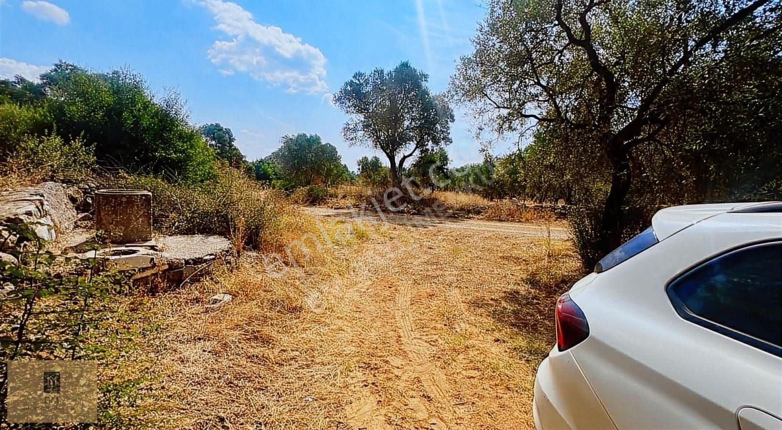 Menteşe Bayır Satılık Konut İmarlı Bayır'da 13 Dönüm, Resmi Yolu Olan, Ev Yapılabilen Arazi